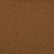 Tropical İnsect Menu Granules Xxs 25 Gr Açık