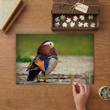 Güzel Mandarin Ördeği Tasarımı 240 Parça Ahşap Puzzle Ahşap Kutuda Mpy50127