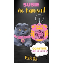 Petjoo 3.Susie Sarı-Pembe Qr'lı Kedi Künyesi