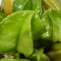 Yıldız Meyvesi Karambola 1 KG
