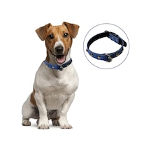 Yumuşak Dokulu Deri Köpek Gezdirme Boyun Tasması (Large)
