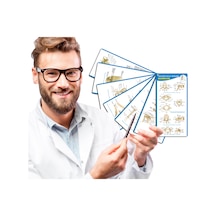 Anatomi Kolay Öğrenme – Kemikler Cep Kartı