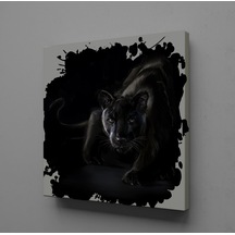 Siyah Aslan Kanvas Tablo 160x160cm