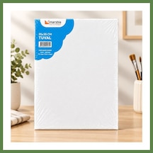 Bezos 25x35 Tuval Hb006 Çok Renkli