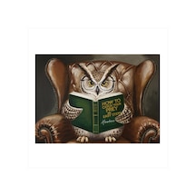 Kitap Okuyan Baykuş Hediyelik Mdf Tablo