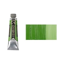 Rembrandt 40 ML Yağlı Boya Seri:2 No:620 Olive Green