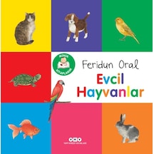 Minik Kitaplarım Evcil Hayvanlar - Qhdh-833717