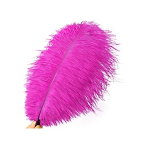 Kuzey Oyuncak 3 Adet Büyük Boy 35 Cm Koyu Pembe Deve Kuşu Tüyü Vıp Dark Pınk Ostrıch Feather Dekor Pembe Kuş Tüyü 5+