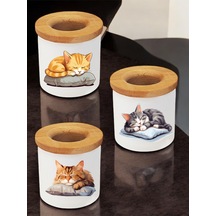 Uyuyan Kedi Baskılı 3'lü Masa Üstü Kalemlik - Kalem Kutusu, Ofis Eşyası Hediyesi Beyaz
