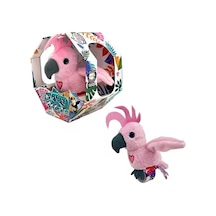 Konuşan Ve Taklit Eden Pembe
