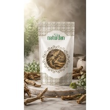 Melek Otu Kökü 100g