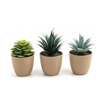 Üçlü Mini Yapay Sukulent Seti 8 Cm Saksı, Dekoratif Küçük Bitki Seti, Gerçekçi Görünüm, Salon Ofis Ev Masa Üstü Süs Bitkisi, Bakım Gerektirmez, Modern Dekor 50 x 22