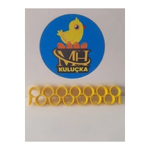 Bıldırcın Kanal Aparatı 2 Adet