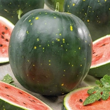 Moon Stars Benekli Karpuz Tohumu 10 Tohum