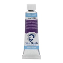 Van Gogh Sulu Boya Quınacrıdone Purple 10 Ml.tüp Karışık Çok Renkli