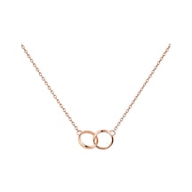 Daniel Wellington Dw00400352 Kadın Kolye Diğer