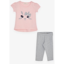 Breeze Kız Çocuk Taytlı Takım Tavşancık Nakışlı 1-4 Yaş, Pembe-pembe Pembe