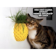 Ananas Şekilli Kedi Kaşıma Aparatı Kedi Çimi Eklenebilir Duvar