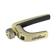 A-007j-br Vidalı Gitar Kaposu Bronz