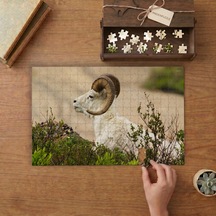 Dall Yaban Koyunu Tasarımı 240 Parça Ahşap Puzzle Ahşap Kutuda Mpy60024