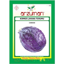 KırmızıMor Lahana Tohumu 10 GR Ort 2000 Ad Tohum N115139
