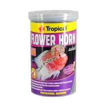 Tropical Flowerhorn Adult Kovadan Bölme 100 G