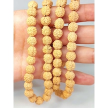 Açık Renk Süt Rudraksha Tohum Dizi 8-9mm Aralığı Mala Yapımı İçi Çok Renkli