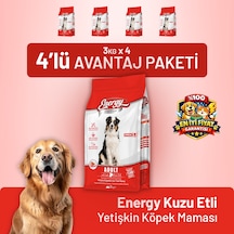 Kuzu Etli Yetişkin Köpek Maması 3 Kg - 4 Adet