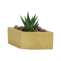 Dekoratif Saksı Minik Kaktüs Saksısı 1 Adet Dörtgen Model - Altın