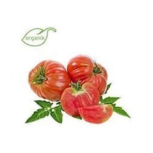 150 Adet Tohum Organik Hobi Bahçe Saksılık Pembe Bulgar Domates T