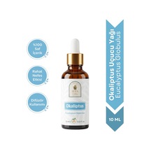 10 ML