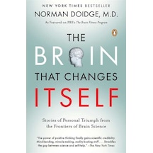 The Brain That Changes Itself