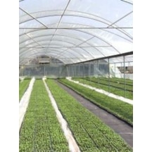 160 Micron Naylon Örtü, Şeffaf Su Geçi Rmez Naylon, 3x37 Metre Diğer