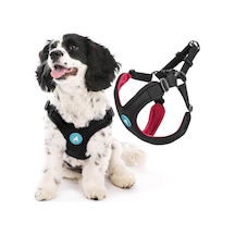 Escape Free Spor Yemek Takımı, Küçük Köpekler İçin, Neopren Yemek Takımlarından Kaçmayı Seven Köpekler İçin, Siyah, Beden L Çok Renkli