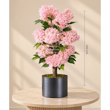 100 Cm Pembe Ortanca Ağacı