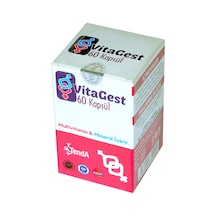 Vitagest 60 Kapsül