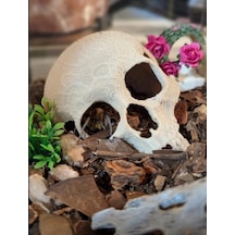 Akvaryum Süsü Kırık Kafatası Dekorasyon - Balık Saklanma Alanı Ve Akvaryum Dekoru Skull Decor Broken Skull For Aquarium Decoration