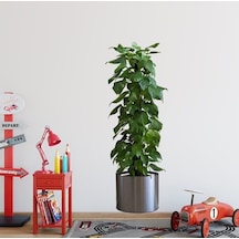 Saksılı Bitki Tasarımlı Yapışkanlı Sticker Resim 90 30 Cm Mc-665