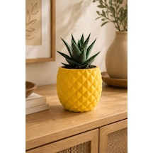 Geometrik Desenli Sukulent Saksısı Mini Kaktüs Saksı Masa Üstü Dekoratif Pla Saksı 7.7x6.5 Cm