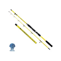 DFT Focus 180 cm Bot Kamışı 50-100 g