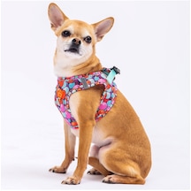 Pawstar Balloons Air-mesh Göğüs Tasması Kedi Köpek Göğüs Tasması Xlarge Çok Renkli