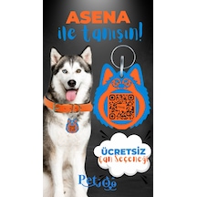 Turuncu