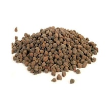 Kara Nohut Tohumu 100 GR
