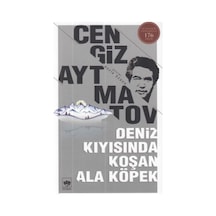 Deniz Kıyısında Koşan Ala Köpek - Grsy-591501
