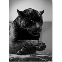 Cakasepetim Siyah Jaguar Ahşap Mdf Tablo