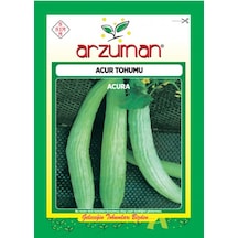 Arzuman Acur Tohumu 10 G