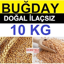 Buğday 10 Kg Yemlik Buğday Tavuk Yemi Güvercin Yemi Kanatlı  Yemi