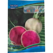 Turp Çin Atalık Tohumu 3 Paket