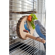 Mivra Pets Doğal Ahşap Kuş Sebzelik Ve Meyve Tutucu
