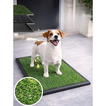 Hijyenik Drenajlı Kedi Ve Köpek Tuvalet Matı, 50x75 Cm Ölçüler Açık Bej